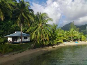 a house on the shore of a beach with palm trees at Le Neliza Beach Lodge Raiatea in Opoa