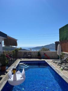 a swimming pool with two swans in the water at Villa karya in Kas