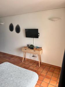 Μια τηλεόραση ή/και κέντρο ψυχαγωγίας στο Studio bellevue résidence de la baie - 5 minutes à pied de la plage