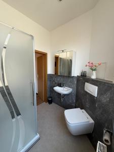 een badkamer met toilet en wastafel bij Ferienwohnungen in Röblingen  +7 foto's