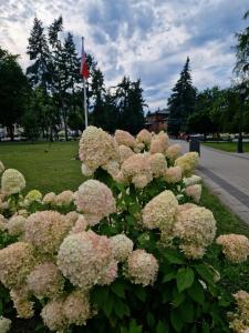 Zahrada ubytování AGAWa + 6 fotografií