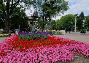 Zahrada ubytování AGAWa