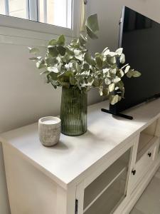 TV a/nebo společenská místnost v ubytování Encantador y céntrico piso con garaje