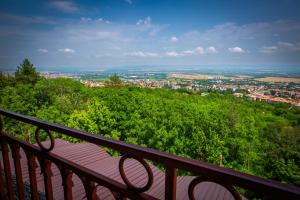 Naturlandskabet i nærheden af hotellet