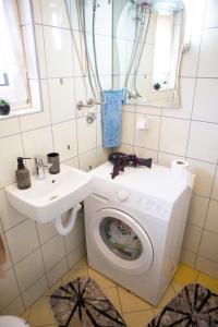 a bathroom with a washing machine and a sink at Planinska kuća S&I in Dejčići