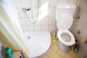 a small bathroom with a toilet and a shower at Planinska kuća S&I in Dejčići +28 photos