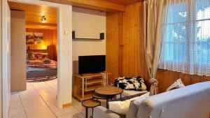 TV a/nebo společenská místnost v ubytování Gemütliche 2-Zimmer Wohnung mir Bergblick