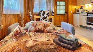 Kuchyň nebo kuchyňský kout v ubytování Gemütliche 2-Zimmer Wohnung mir Bergblick