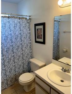 Cozy and Spacious Apartment near Disney Kissimmee في كيسيمي: حمام مع مرحاض وستارة دش +9 صور