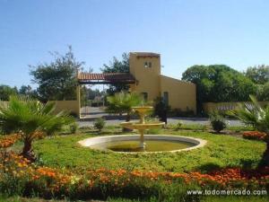 Vườn quanh Eco Casita