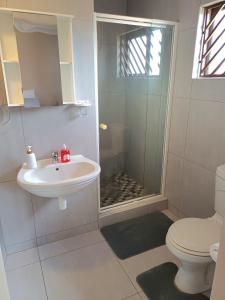 a bathroom with a shower and a toilet and a sink at Watergat guest house in Rehoboth