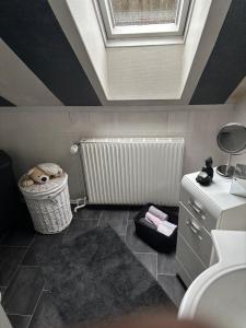 a bathroom with a skylight and a toilet and a rug at Dein Zuhause auf Zeit! in Güster