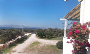a dirt road with flowers on the side of a house at Castello Azzurro in Maragkas