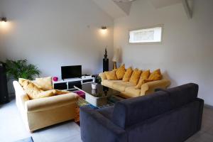 a living room with two couches and a tv at Escapade Champêtre in Chevaigné +1 photo
