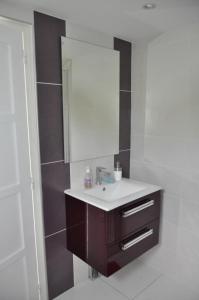 a bathroom with a sink and a mirror at Escapade Champêtre in Chevaigné