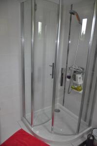 a shower with a glass door in a bathroom at Escapade Champêtre in Chevaigné