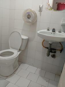 パルミラにあるHotel Pelmanのトイレと洗面台のあるバスルーム