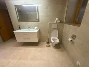 a bathroom with a sink and a toilet and a mirror at Chalet with Scenic Valley & Mountain Views in Lütschental +17 photos