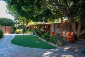 a yard with a green lawn with chairs and a tree at Talavera Palm Springs in Palm Springs