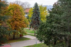 Blick auf einen Hof mit Bäumen und einem Haus in der Unterkunft Planet Gemini Residence in Niš