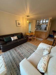 Posezení v ubytování Nevados de chillan , edificio los coigues + 23 fotografií