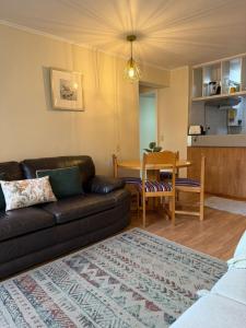 Kuchyň nebo kuchyňský kout v ubytování Nevados de chillan , edificio los coigues