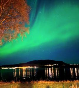 una imagen de la aurora boreal sobre un lago en Charming apartment with two bedroms and beautifull sea view in Fauske, en Fauske