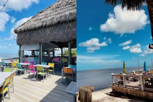 Příroda nedaleko prázdninového domu