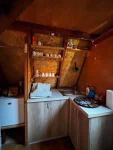 Kuchyň nebo kuchyňský kout v ubytování Villa Alpi