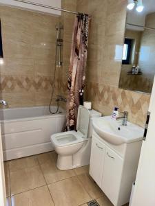 Ένα μπάνιο στο Apartament Daniela +5 φωτογραφίες