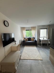 een woonkamer met een bank en een tv bij Studio Cosy Le Cocon au calme in Saint-Bonnet-de-Mure