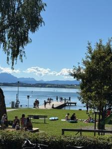 a group of people sitting on the grass by the water at Wallersee Retreat in Neumarkt am Wallersee