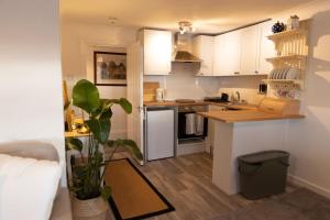 a small kitchen with white cabinets and a potted plant at Charming Apartment with Prime Location in Royal Tunbridge Wells +9 photos