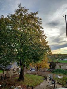 Ein Baum in einem Park mit einer Bank darunter. in der Unterkunft MaisonFrancolatine in Sainte-Maure-de-Touraine + 25 Fotos