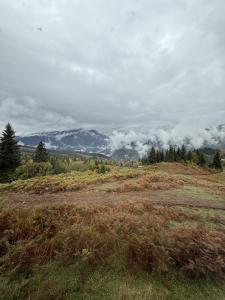 a grassy field with a mountain in the background at პანორამა გომარდული in Gomarduli