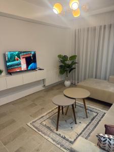 TV a/nebo společenská místnost v ubytování Jardin de Carthage