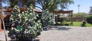 Κήπος έξω από το Casa rústica