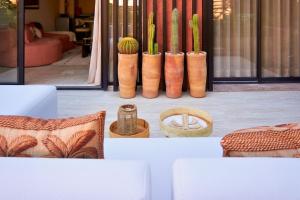 Ảnh trong thư viện ảnh của Mounir Hamari ở Marrakech