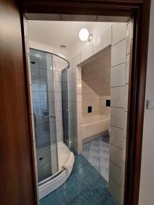 a bathroom with a shower and a tub at Aparthotel Xavito in Sanok