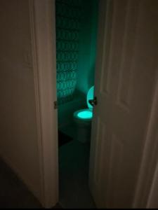 a bathroom with a toilet in a green room at Budget Friendly Home in Oshawa