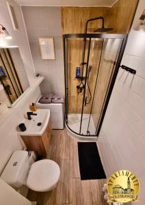 a bathroom with a shower and a toilet and a sink at Apartamenty Bolesławiec Spółdzielcza Free parking in Bolesławiec