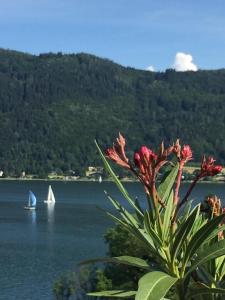 a boat in the water with a sailboat on a lake at DeliApart Ossiacher See in Sattendorf