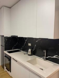 Η κουζίνα ή μικρή κουζίνα στο Lakeside Comfort Tirana +23 φωτογραφίες