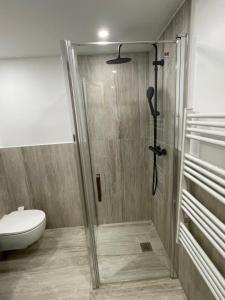 a shower stall in a bathroom with a toilet at Chez Marlène bis, Vieil Antibes, Port Vauban in Antibes +40 photos