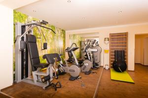 Hotel Forellenhof في فلاخاو: صالة ألعاب رياضية مع العديد من أجهزةالجري ومعدات التمارين