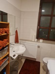 Koupelna v ubytování Gemütliche Wohnung in historischem Kulturdenkmal, 62qm