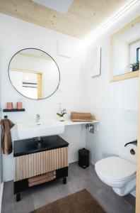 a bathroom with a sink and a toilet and a mirror at Nature Living Koralpe in Sankt Stefan im Lavanttal