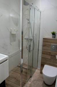 a bathroom with a shower with a toilet and a sink at Modernes Apartment für Monteure, Projektteams und Privatreisende in Willstätt
