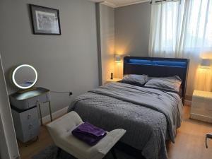 a bedroom with a bed and a chair and a mirror at Simple entire apartment 2 bedroom night rest in Kitchener
