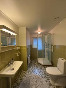 un bagno con doccia, WC e lavandino di Kåhögsberget a Jonsered